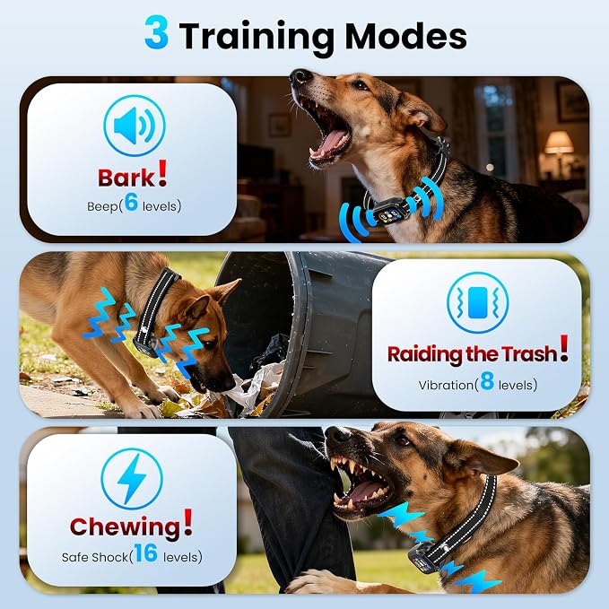 2-in-1 Bark & Shock Collar 2 Pack, Color Screen Remote for 2 Dogs, Beep/Vibration/Shock 3 Modes, 8 Sensitivity Levels, IP67 Waterproof, Portable Training Collar for Medium and Large Dogs (5-120lbs)