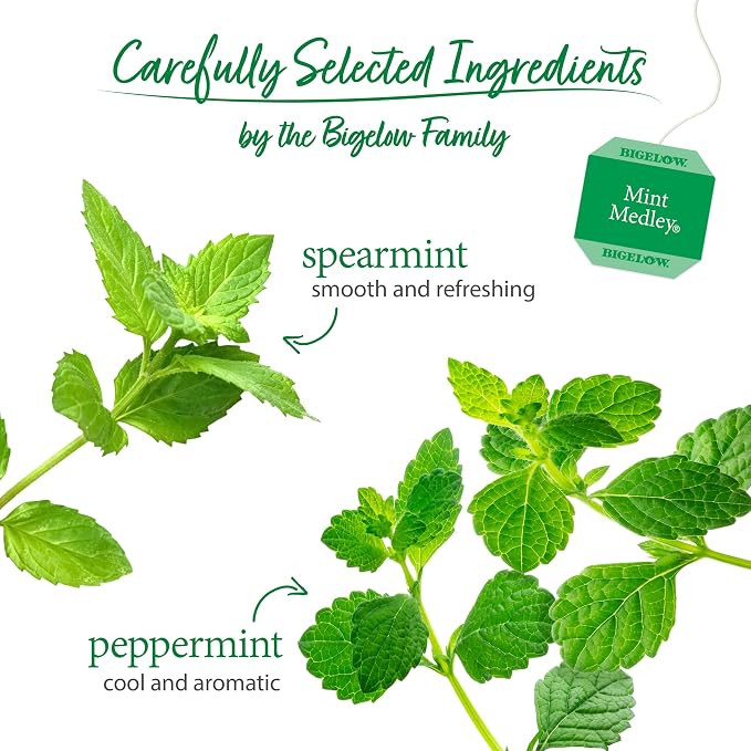 Bigelow Tea Mint Medley Herbal Tea, Caffeine Free Mint Tea with Spearmint and Peppermint, 20 Count Box (Pack of 12), 120 Total Tea Bags