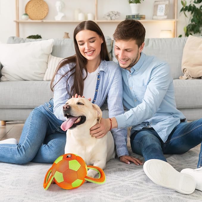 ALL FOR PAWS Upgraded Dog Ball with Handles, Durable Dog Toy with Squeaker, Interactive Tug of War Ball Toy for Medium and Large Dogs,15.7 x 7.9 x 7.9 Inch