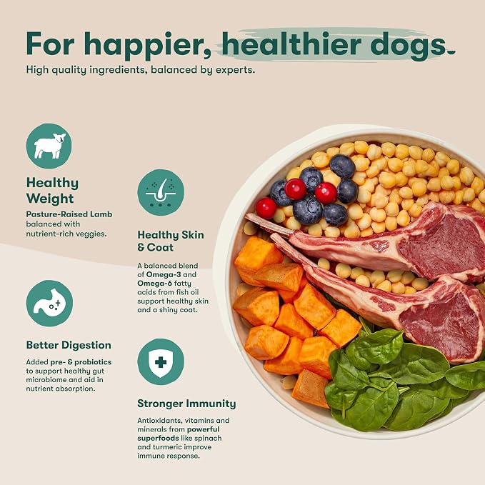 Jinx Grain-Free Dry Dog Food - Real Lamb, Sweet Potato & Carrot, 11.5lb | Premium Kibble for Digestive Support & Healthy Immunity - No Fillers, All Lifestages (Puppy, Adult & Senior), Breeds & Sizes