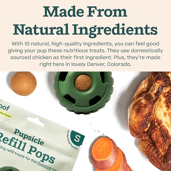 WOOF Pupsicle Chicken Refill Pops Dog Treats, Small, 10 Count | For small Pupsicles, chicken flavor, long-lasting treats, pre-made Pops, wholesome ingredients, shelf stable
