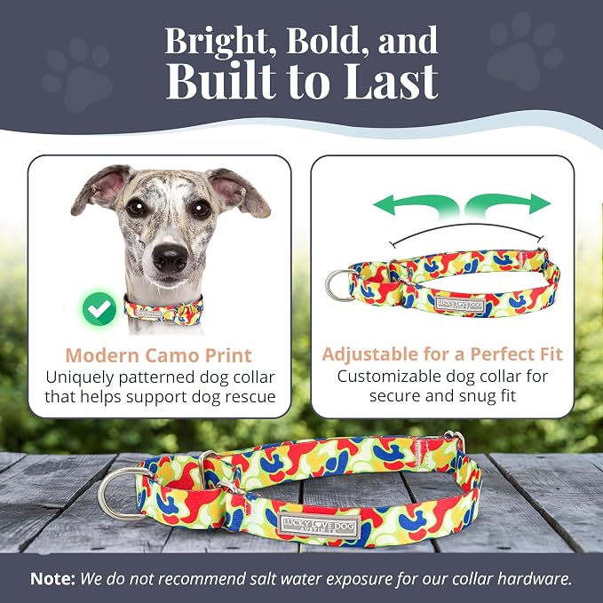 Lucky Love Dog Martingale Collar for Medium Dogs No Slip – Oscar, Medium