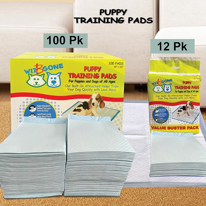 Scoochie Pets Large Dog Training Pads, 22 x 22, 100 Pack | Absorbent Sheets for Adult & Young Pets, Leak-Proof Pee Pads, Convenient Box, Ideal for Home & Travel