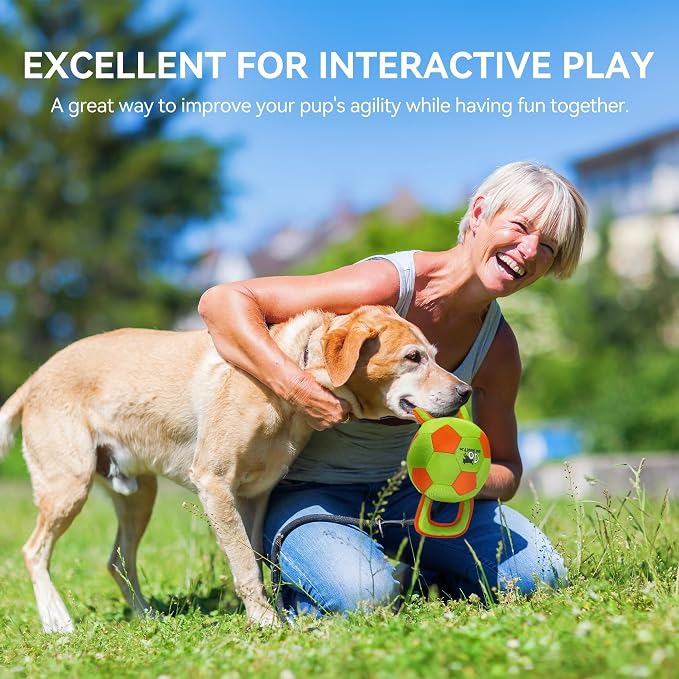 ALL FOR PAWS Dog Ball with Handles, Durable Dog Toy with Squeaker, Interactive Tug of War Ball Toy for Small and Medium Dogs, 12.6 x 5.9 x 5.9 Inch