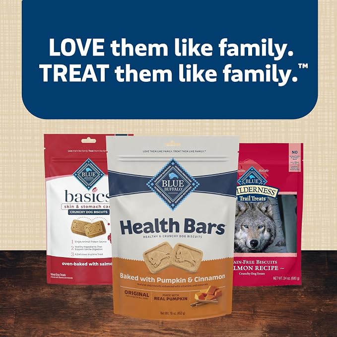 Blue Buffalo Health Bars Pumpkin & Cinnamon Crunchy Dog Biscuits, Oven-Baked with Pumpkin & Natural Ingredients, Healthy Dog Treats with No Artificial Flavors or Preservatives, 16 oz. (Pack of 4)