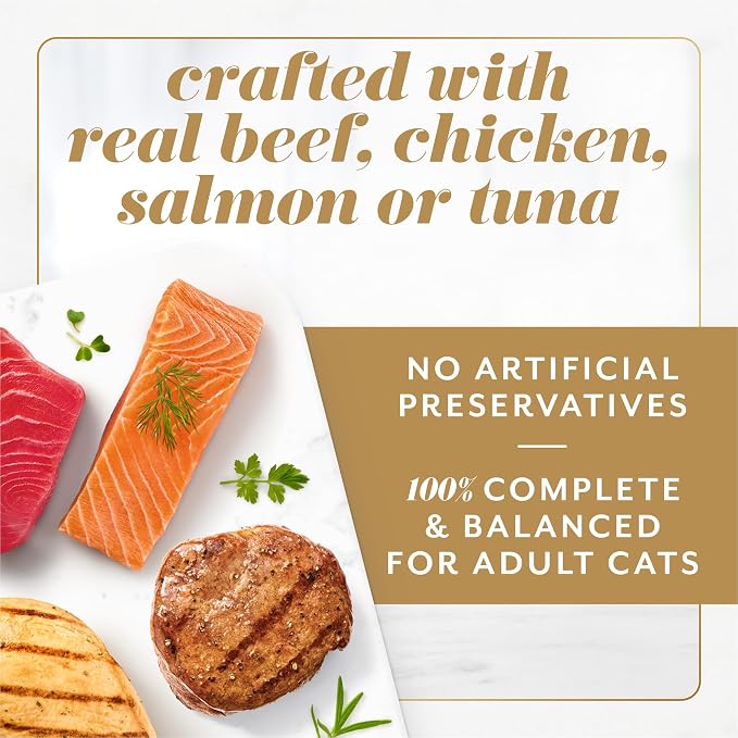 Purina Fancy Feast Gems Salmon Variety Pack Wet Cat Food, 4 oz, 12-Pack | 24 single servings, mousse pate with savory gravy, made with no artificial preservatives, 100 percent complete and balanced