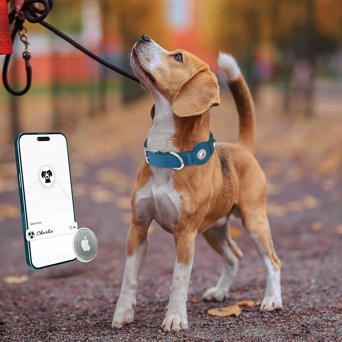 Leather Dog Collar with Airtag Holder - Apple Air Tag Dog Collars - Soft Tracking GPS Pet Collar for Small Medium Large Dogs Breed Puppy (Smoky Blue, S, 9"-12" Neck Fit)