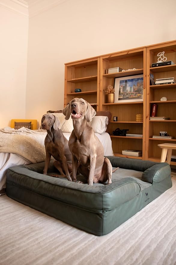 NOAH & PAW Giant Dog Bed XXL, 55x45x11 Inch, Orthopedic Dog Beds, Eggshell Memory Foam Infused with Cooling Gel, Inner Cover, Water Resistant, Machine Washable (Faux Leather)