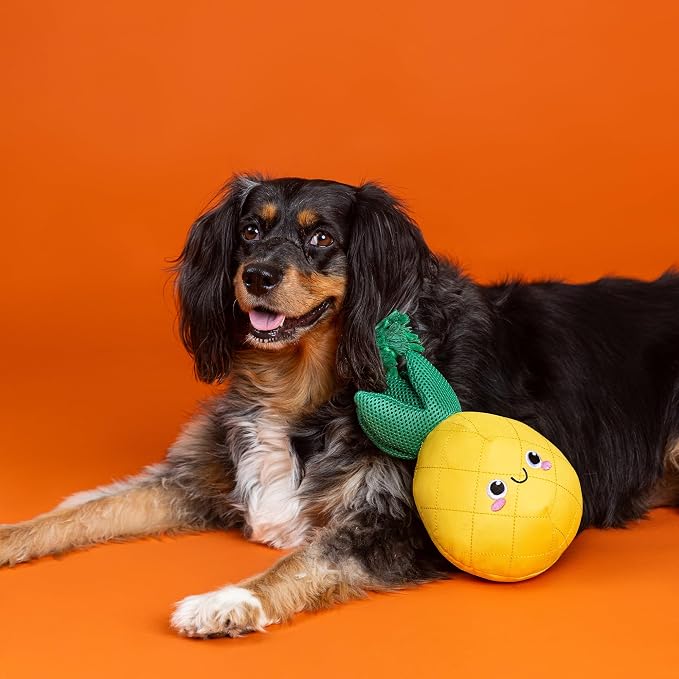 Fringe Studio Floating Dog Toy with Rope The Water is JUST Pine, Pet Shop Collection (640015)