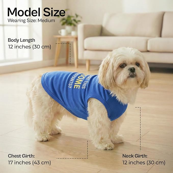 Parisian Pet Dog Tshirt - Embroidered “ Awesome “ Tank Top - Pure Cotton and Lightweight Dog Clothes - Blue Pet Vest - Sleeveless Tee Shirts for Medium Dogs Boy
