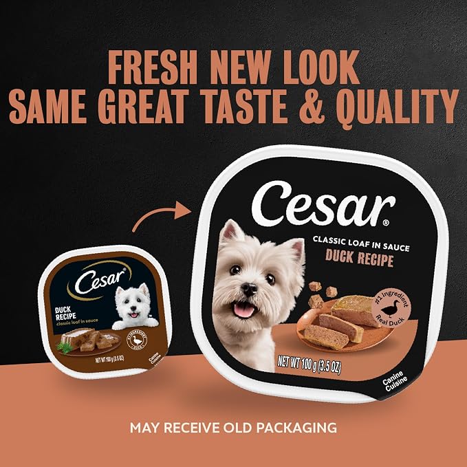 Cesar Classic Loaf in Sauce Wet Dog Food, Duck Recipe, 3.5 oz, 24 Count | Made in USA, Real duck #1 ingredient, no fillers/added sugar/artificial flavors, use as meal or topper, easy peel trays