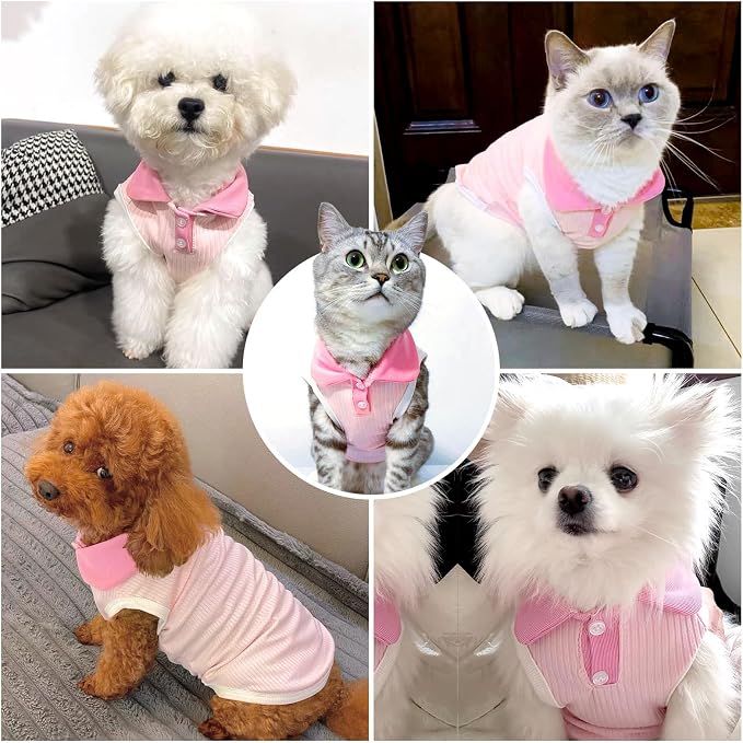 Dog Tshirts for Small Dogs Polo Shirt Stretchy Dog T Shirt Breathable Dogs Cooling Vest Girl Boy Puppy Dachshund French Bulldog Frenchie Chihuahua Clothes