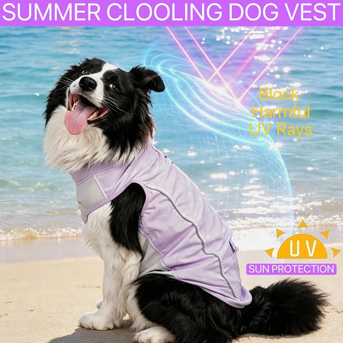 Dog Sun Protection Cooling Shirt,UPF 50+ UV Protection,Lightweight Breathable Cooling Vest, Sunblock Summer Clothes for Dogs (Grape Purple, XL, Side Snap-Buttons)