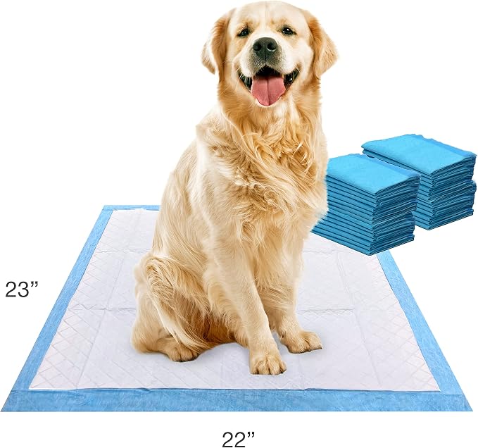 Four Paws Wee-Wee Superior Performance Unscented Puppy Pee Pads for Dogs & Puppies, Quilted Leak-Proof Dog Housebreaking Potty Training Floor Protection, Pet Supplies, 22" x 23", 30 Count