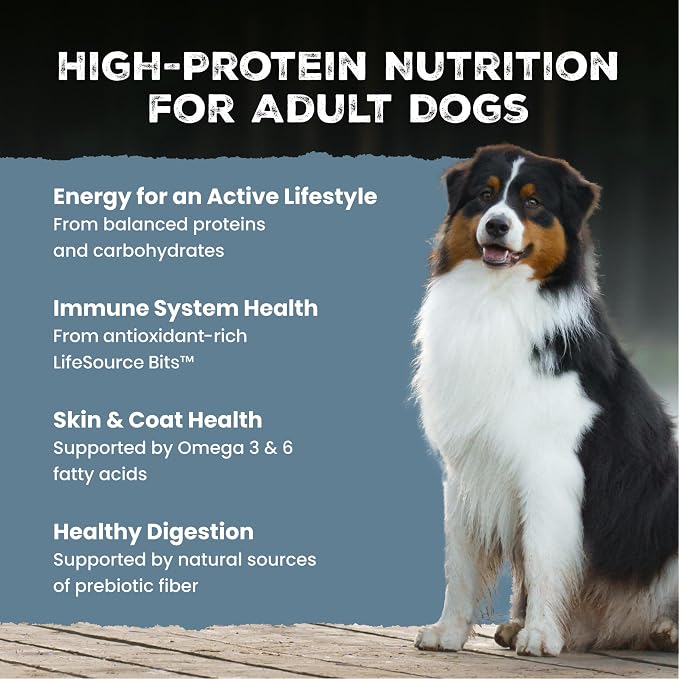 Blue Buffalo Wilderness Duck & Wholesome Grains Adult Dry Dog Food, 28 lb | 39g Protein, Real Duck #1 Ingredient, Antioxidant-Rich Fruits & Veggies, High Protein to Fuel Adventures