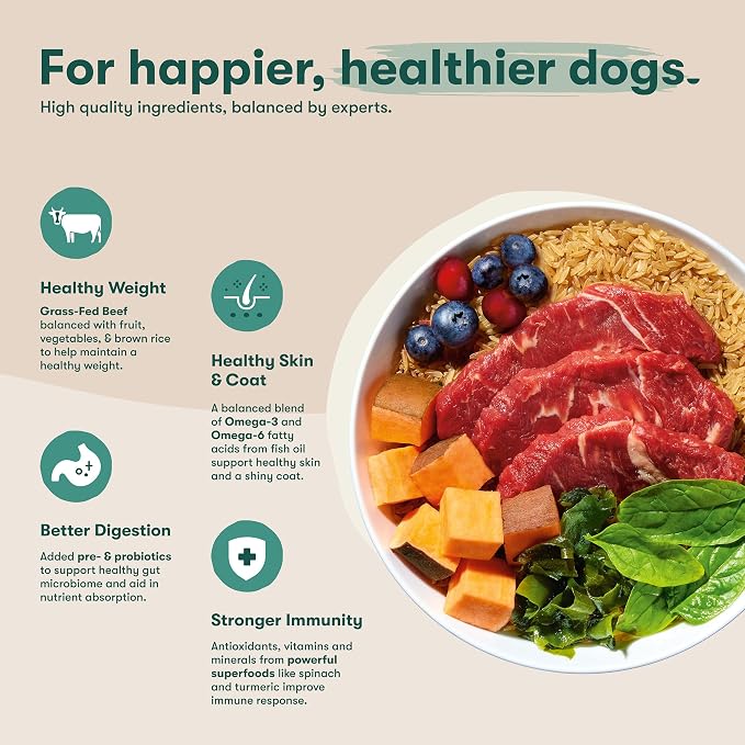 Jinx Dry Dog Food, Large Breed - Beef, Brown Rice & Sweet Potato, 11.5lb | Premium Large Breed Kibble with Antioxidants for Joint Health, Mobility & Immune Support - No Fillers
