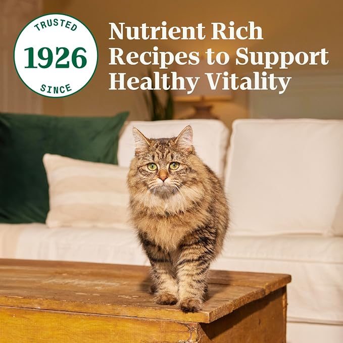 Nutro Wholesome Essentials Adult Dry Cat Food, Chicken & Brown Rice, 5 lb | Real chicken #1 ingredient, omega-6 for skin & coat, antioxidants for immunity, natural fiber, high protein