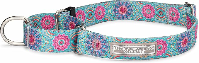 Lucky Love Dog Martingale Collar for Small Dogs No Slip Cute – Clara, Small