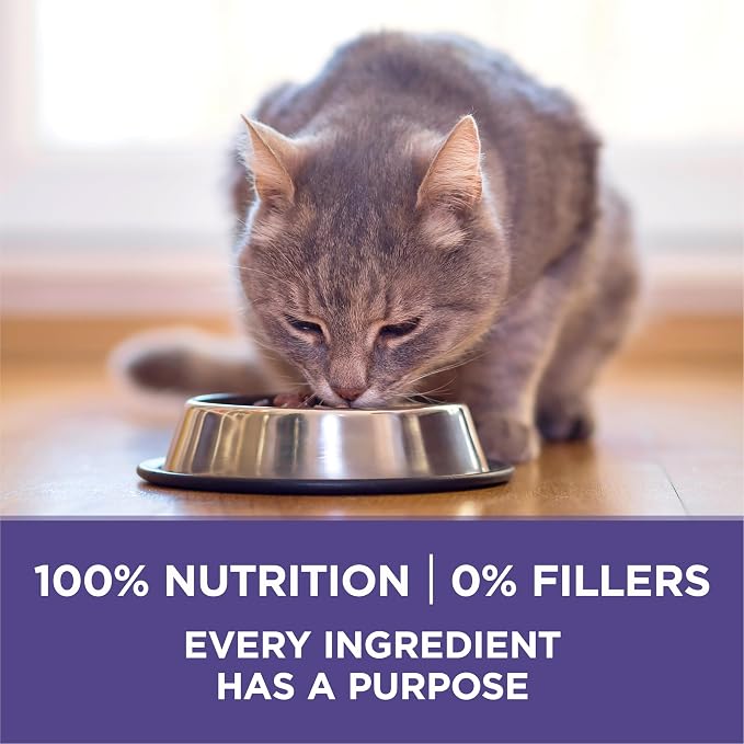 Purina ONE Natural Hairball Control Dry Cat Food, 7 lb Bag | Real chicken high fiber formula with added vitamins and minerals for overall health for adult cats and minimizes hairballs