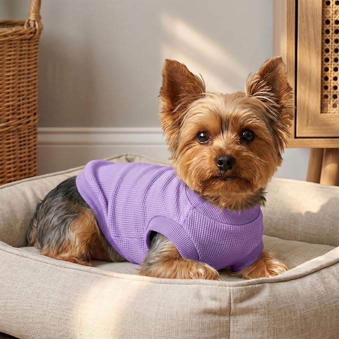 2 Pack Dog Shirt for Small Supplies Functional Waffle Dog Clothes Warm Soft Sweatshirt Outfit for Dogs Cats Pet Apparel