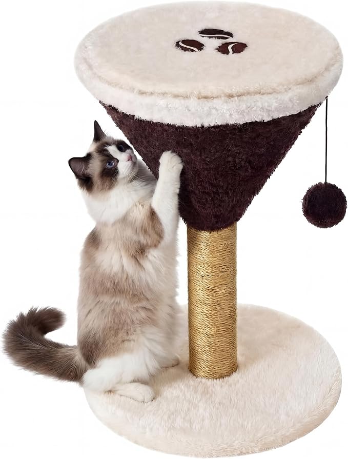 Espresso Martini Cat Scratcher 19.7" H Cat Scratching Post Scratcher with Dangling Ball for Indoor Cats Scratching Post for Kittens and Medium Large Cats