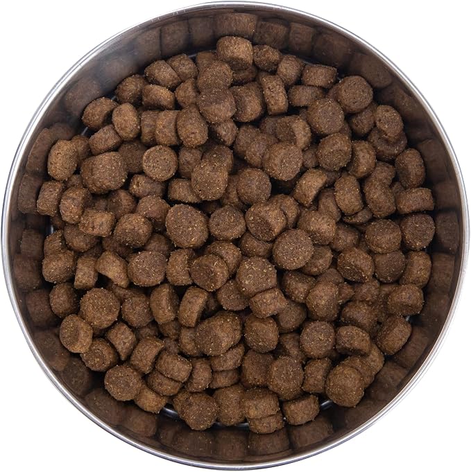 Health Extension Grain Free Chicken & Turkey Dry Dog Food - 30+ Superfoods and Probiotics for All Life Stages (4 lb)