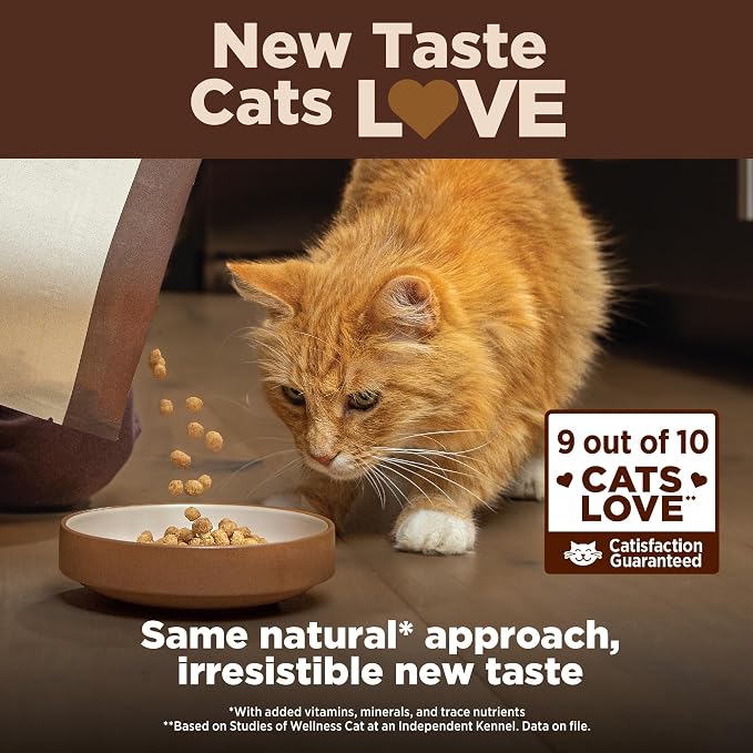 Wellness CORE+ Adult Dry Cat Food for Infoor Cats, Natural, Grain Free Kibble, Salmon and Herring Meal Recipe, 5 lb Bag
