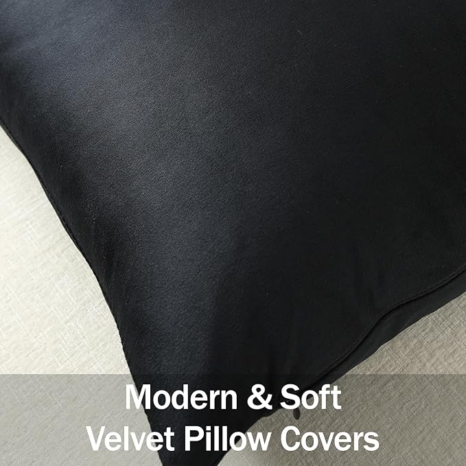 Throw Pillow Covers 22x22 Black: Pack of 2 Cozy Soft Velvet Square Modern Luxury Decorative Throw Pillow Cases for Sofa Couch Living Room Bed Home Decor