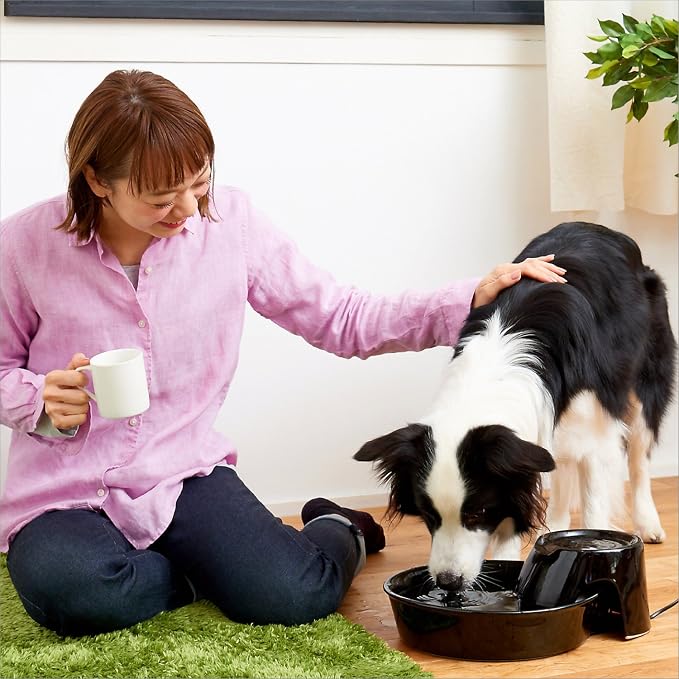 Pioneer Ceramic Drinking Fountain Big Max , 128 oz,Black