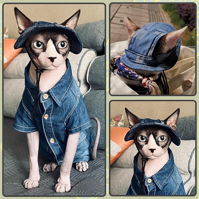 DENTRUN Cat Bucket Hat with Ear Hole, Cotton Birthday Bonnet for Small Pets | Breathable cotton, Adjustable Secures fit, For birthday Party, For small cats, daily cute photos