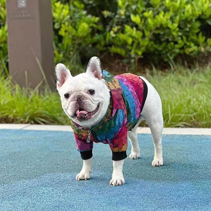 Dog Hoodie Luxury Winter Small Dog Jacket Clothes Classic Designer French Bulldog Teddy Pug Puppy Clothes(XXL)