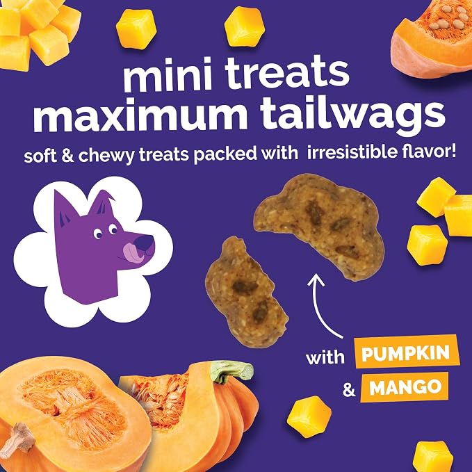 Fruitables Skinny Mini Dog Treats, Training Treats, Pumpkin and Mango, 5oz | Healthy Dog Treats, Crunchy Dog Biscuits, Healthy Puppy Treats, Limited Ingredient, Training Rewards, Made in USA
