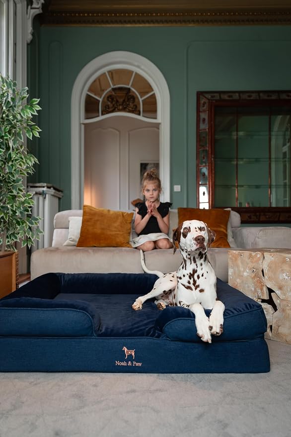 NOAH & PAW XL Dog Bed, 45x35x11 Inch, Orthopedic Large Dog Beds, Eggshell Memory Foam Infused with Cooling Gel, Inner Cover, Water Resistant, Machine Washable (Denim Sofa Collection)