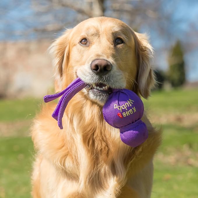 KONG Wubba Tug of War and Fetch Dog Toy, for XL Dogs