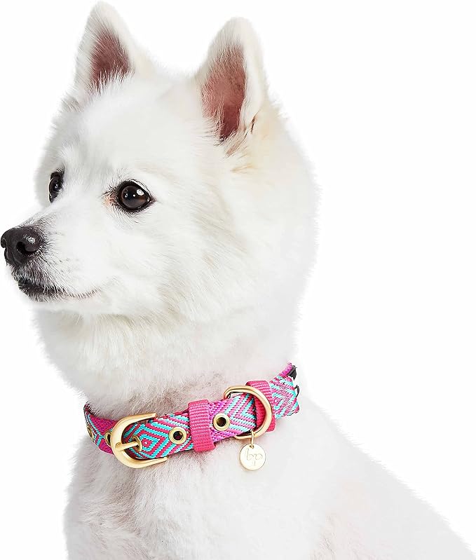 Blueberry Pet Southwestern Tribal Lozenges French Pink Adjustable Dog Collar with Metal Buckle, Neck 19.5-26", for Large Breed