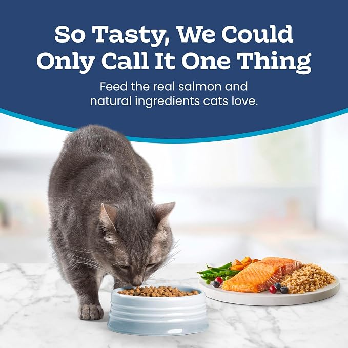 Blue Buffalo Tastefuls Salmon Adult Indoor Dry Cat Food, 22 lb | Salmon & Brown Rice Recipe, Antioxidant-Rich LifeSource Bits, No Corn, Wheat, or Soy