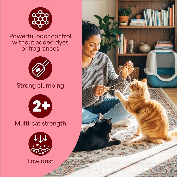Fresh Step Advanced Simply Unscented Multi Cat Clumping Cat Litter, 18.5 lb | Formulated with No Added Dyes or Fragrances, Ammonia Block Technology, Low Dust, Compatible with Most Automatic Litter Boxes