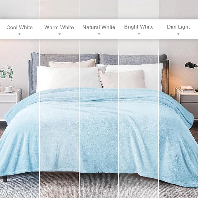 Exclusivo Mezcla Soft Plush Fleece Throws Blanket for Couch Sofa Bedroom | Lightweight Fuzzy Fluffy Blanket for All Seasons, Cozy Velvet Throws for Women Men, Machine Washable, 50"x60", Light Blue