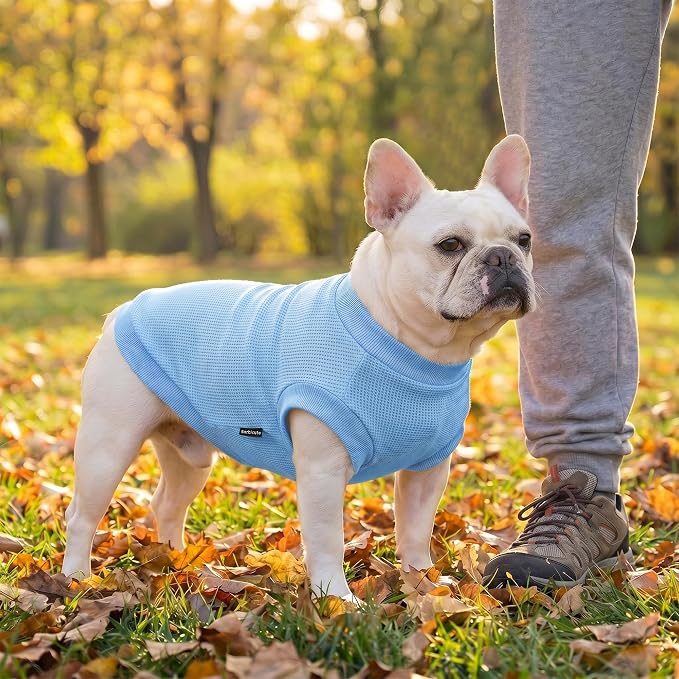 1 Pack Dog Shirt for Small Supplies Functional Waffle Dog Clothes Warm Soft Sweatshirt Outfit for Dogs Cats Pet Apparel