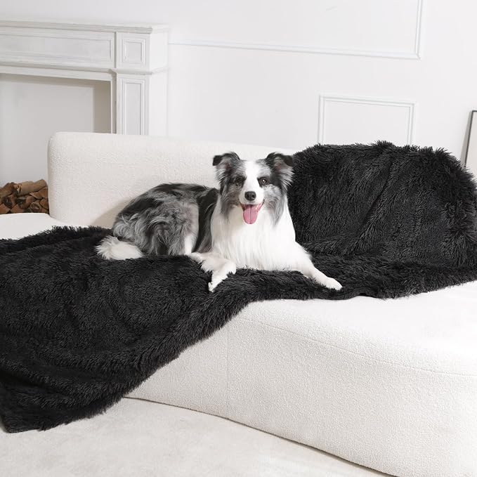 gogobunny Waterproof Dog Blanket for Couch & Furniture Protection - Super Soft Reversible Throw for Large Dogs & Cats, Calming Washable Fur & Sherpa Pet Blanket (33x77 Inch, Black)