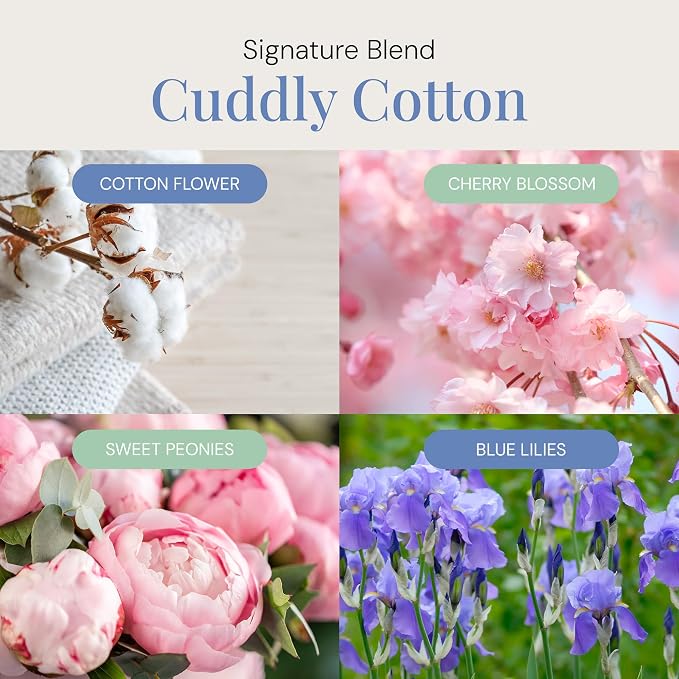 Air Esscentials Cuddly Cotton Aroma Oil for Smart Scent Air Machines & Cold Air Diffusers, Pet-Safe Fresh Cotton Essential Oil, Floral, and Crisp Apple Scents, 100mL
