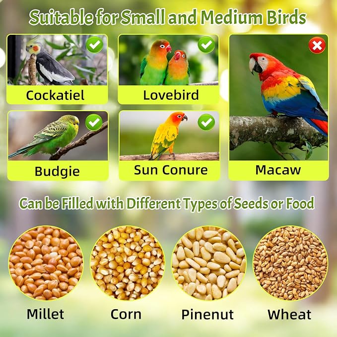 Rypet No-Mess Automatic Bird Feeder for Cage, Parrot Cage Accessories | Transparent Acrylic Food Dispenser, Helps Reduce Seed Scatter, for Parakeet Cockatiel Parrot Canary