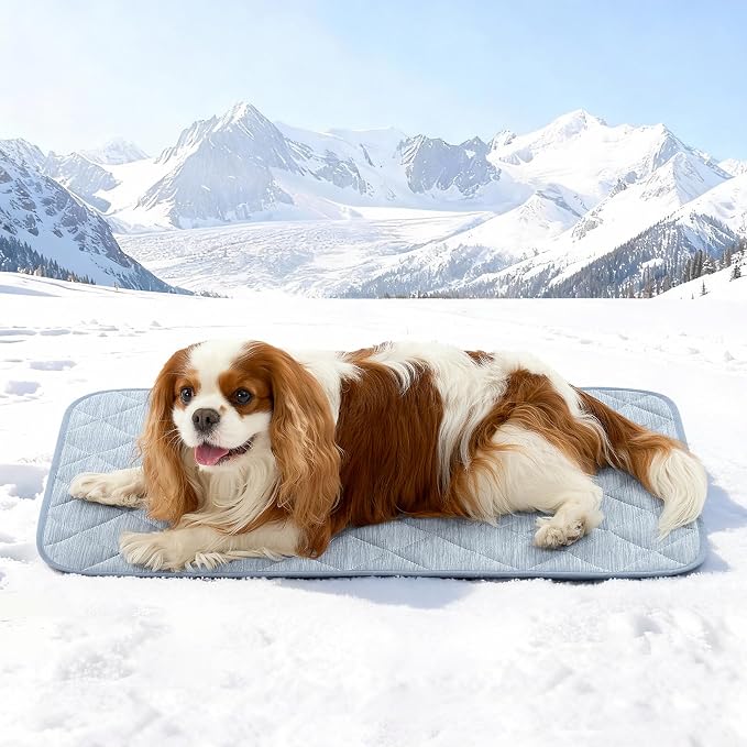 COZY KISS Dog Cooling Mat 20"x30" Q-Max>0.4, Waterproof Pet Bed Cover, Non-Slip Dog Bed Mat, Washable Cooling Pad for Small Dogs, Cats, Crate, Couch, Furniture Protector (Blue)