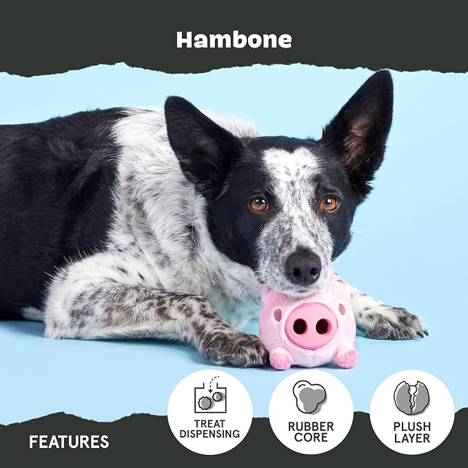 BarkBox Hambone Super Chewer Tough Dog Chew Toy - Toy for Large Dogs
