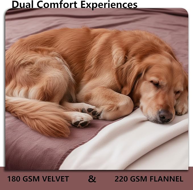 Waterproof Blanket - Reversible Dog Throw as Furniture Protector | Soft Velvet & Flannel, TPU Leak-Proof Liner, Machine Washable, Fits Couch and Bed, 68" x 82", Burgundy/Cream