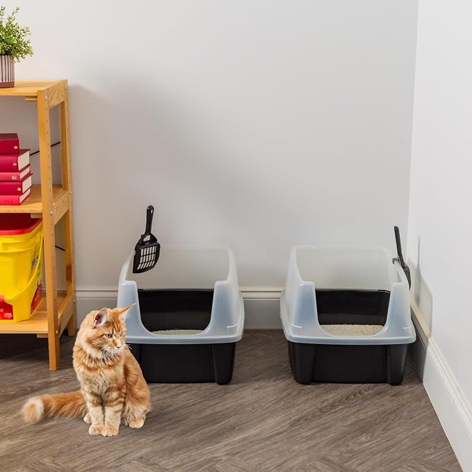 IRIS USA Large High Sided Cat Litter Box, Scatter Shield, Black | Active Cats, Tall Wall Protection, Kick-Proof Sides, Extra Deep Pan, Easy Daily Scoop, Keeps Floor Clean