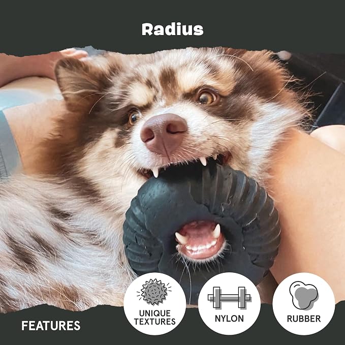 BarkBox Radius Super Chewer - Toy for Large Dogs | Durable Dog Toy for Aggressive Chewers - Vanilla Scented Chew