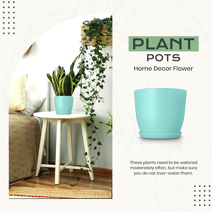 Plant Pots Indoor with Drainage, 10 Pack Multi-Size Planters Set, Aqua | Drainage holes included Multiple sizes 7/6.6/6/5.3/4.8 In Indoor plants and flowers Durable plastic construction