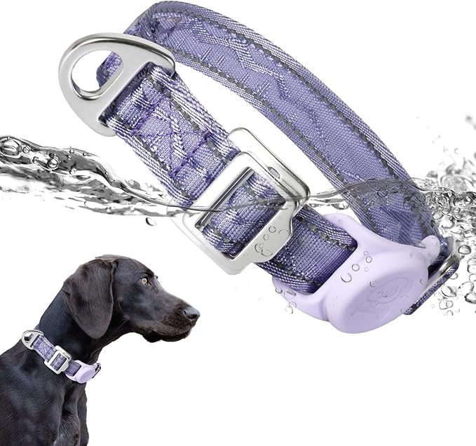 AirTag Dog Collar, Reflective Nylon, Metal Buckle, IP68, Dog Collar with AirTag Holder, Heavy Duty Dog Collars for Large Medium Small Dogs (Lavender Purple, L：Width 1",Neck 16.1"-25.2")