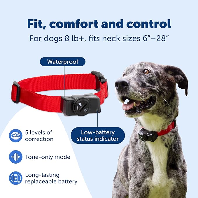 PetSafe Wireless Pet Containment System, Up to 1/2 Acre | Wireless Fence, Tone & Static Correction, Proprietary Circular Boundary with No Wire, Static-Free Re-Entry, Dogs 8 lb+